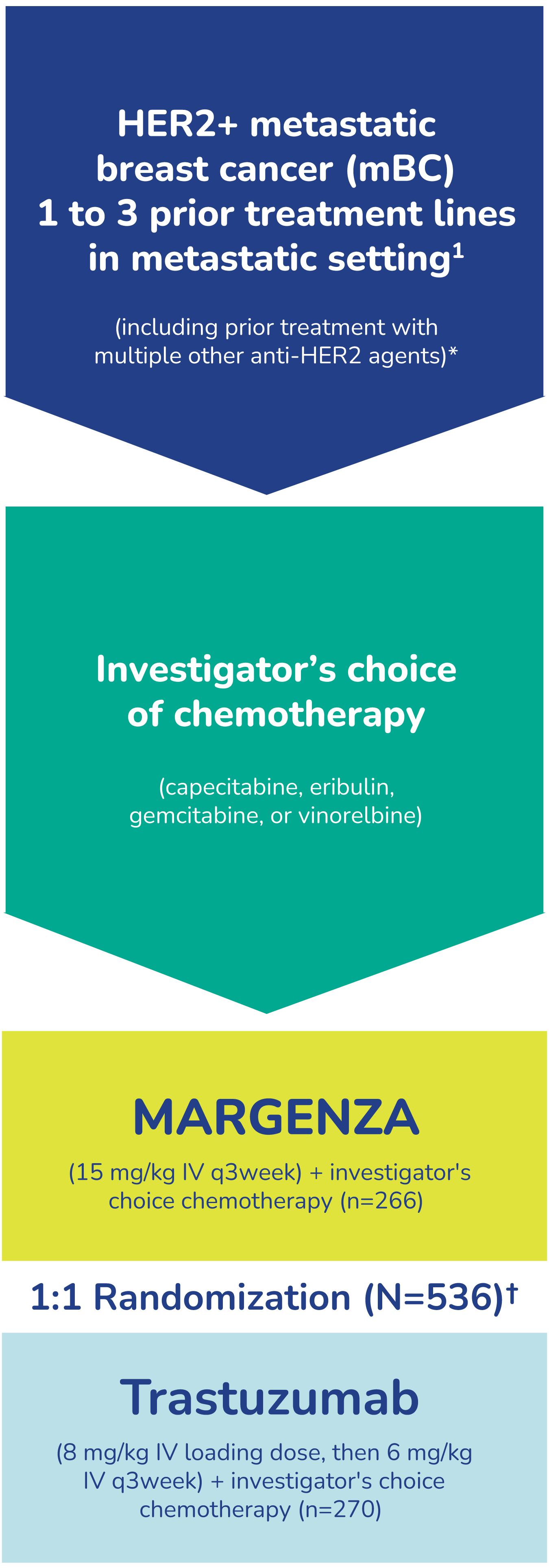 SOPHIA trial design: 536 HER2+ metastatic breast cancer patients with 1-3 prior treatment lines were randomized 1:1 to MARGENZA plus investigator's choice chemotherapy (n=266) or trastuzumab plus investigator's choice chemotherapy (n=270).