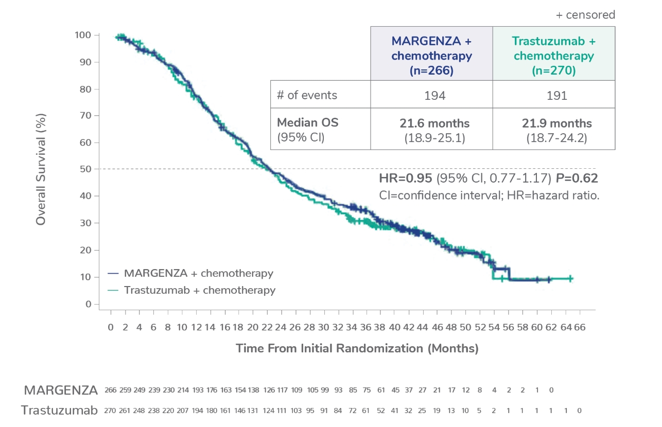 Kaplan Meyer curve showing final median overall survival of 21.6 months for MARGENZA plus chemotherapy in 266 patients compared to 21.9 months for trastuzumab plus chemotherapy in 270 patients. The hazard ratio was 0.95. P value was 0.62.