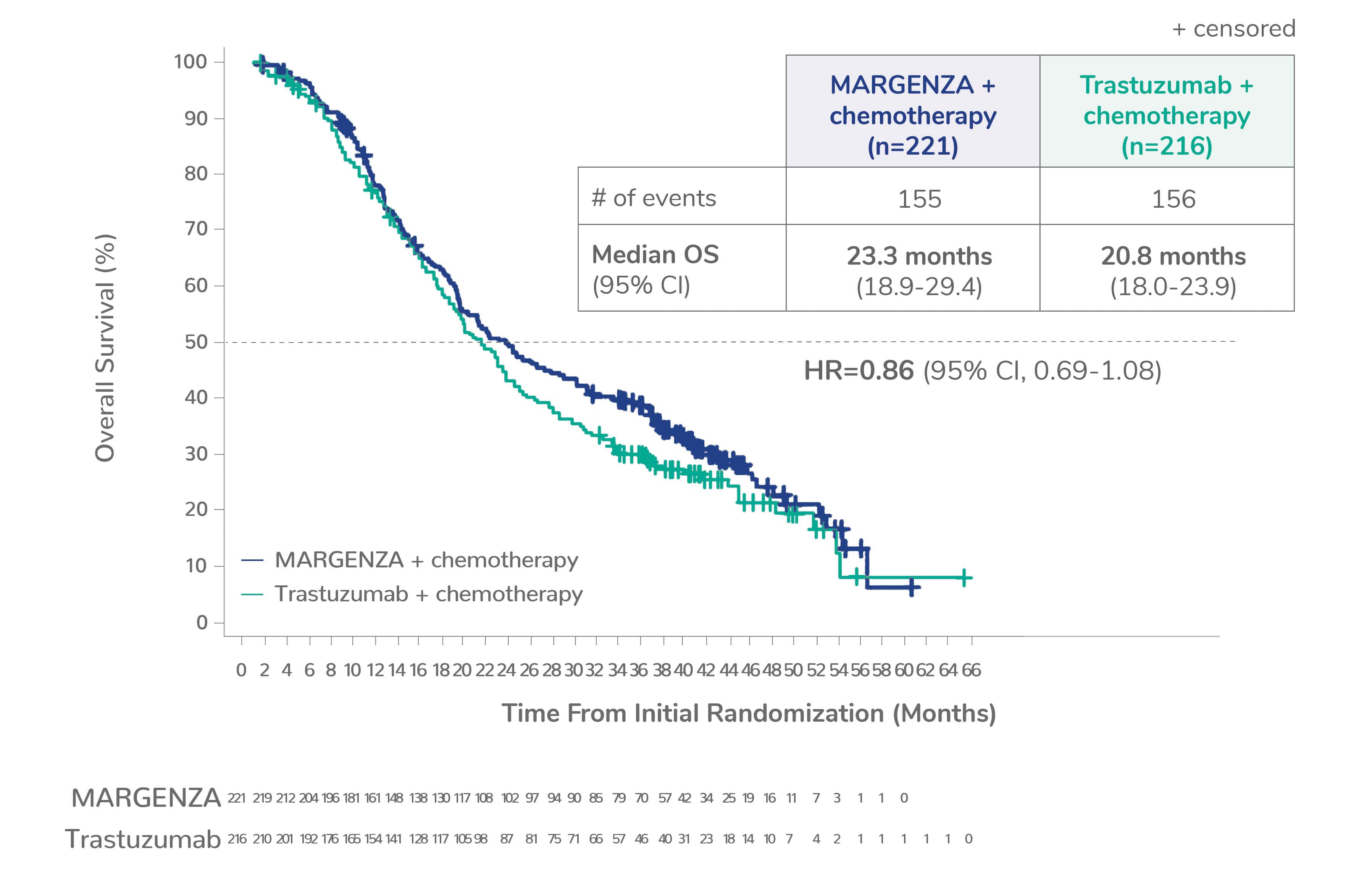 Kaplan Meyer curve showing median overall survival for CD16A FF or FV genotypes of 23.3 months for MARGENZA plus chemotherapy in 221 patients compared to 20.8 months for trastuzumab plus chemotherapy in 216 patients. The hazard ratio was 0.86.