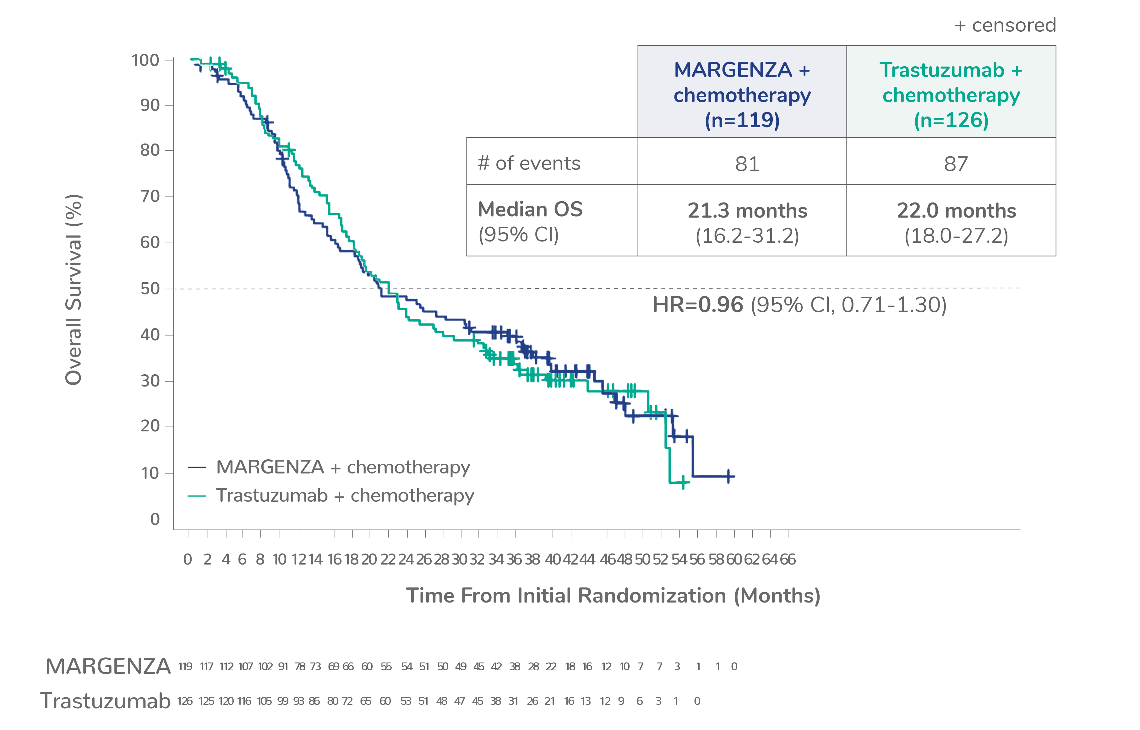 Kaplan Meyer curve showing median overall survival for CD16A FV genotype of 21.3 months for MARGENZA plus chemotherapy in 119 patients compared to 22.0 months for trastuzumab plus chemotherapy in 126 patients. The hazard ratio was 0.96. 