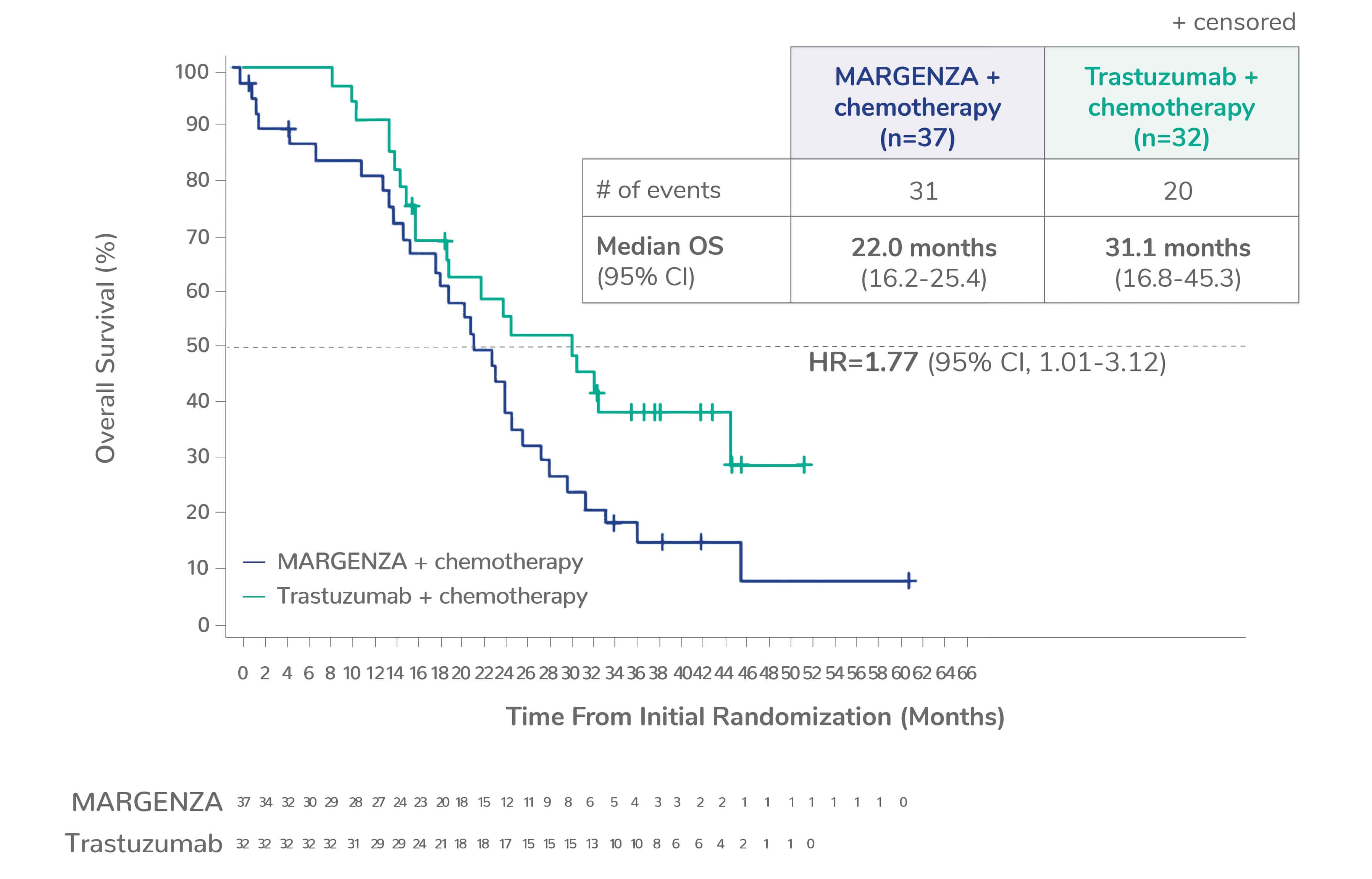 Kaplan Meyer curve showing median overall survival for CD16A VV genotype of 22.0 months for MARGENZA plus chemotherapy in 37 patients compared to 31.1 months for trastuzumab plus chemotherapy in 32 patients. The hazard ratio was 1.77.