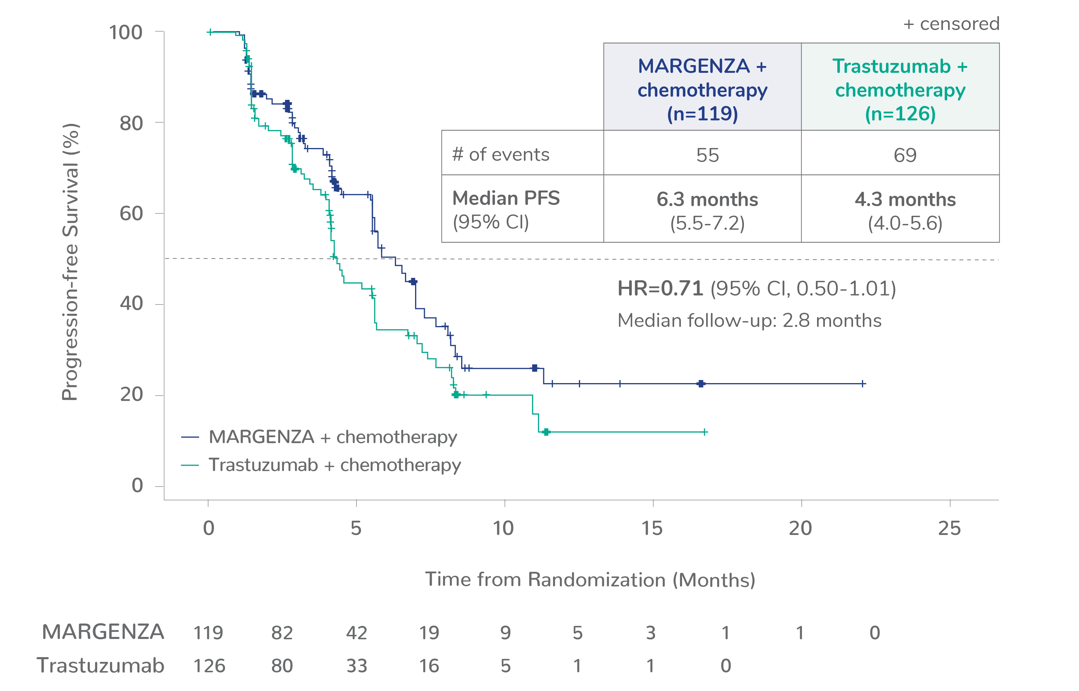 Kaplan Meyer curve showing median progression-free survival for CD16A FV genotype of 6.3 months for MARGENZA plus chemotherapy in 119 patients compared to 4.3 months for trastuzumab plus chemotherapy in 126 patients. The hazard ratio was 0.71. 